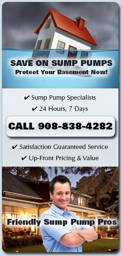 Sump Pumps Hillsborough